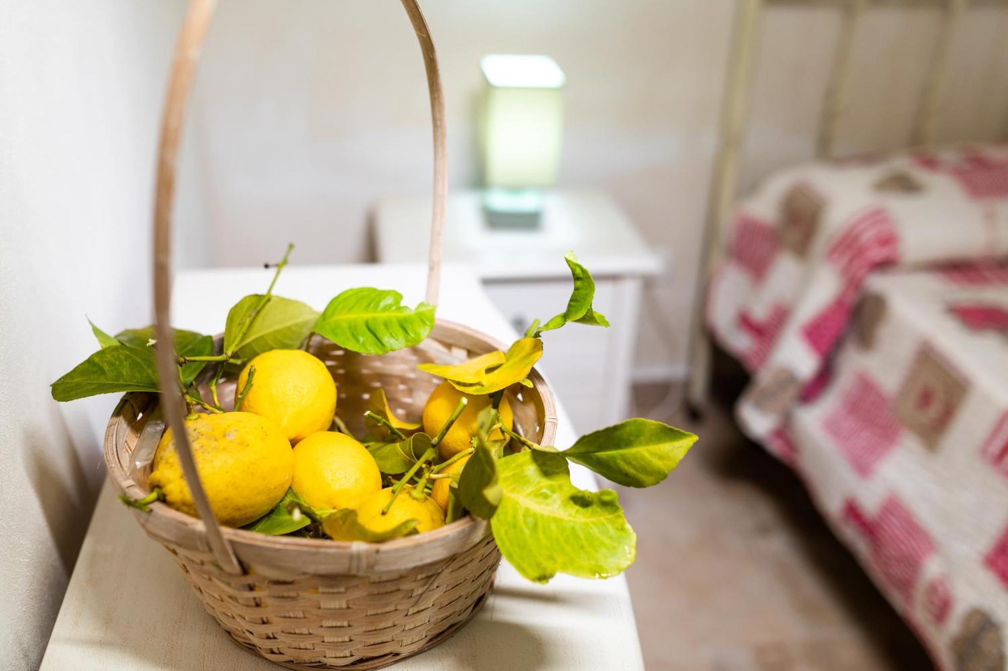 Masseria Il Vignale Ostuni Εξωτερικό φωτογραφία